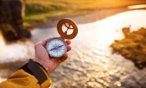 Do You Need to Find Purpose In Life