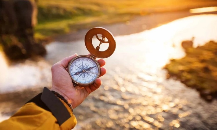 Do You Need to Find Purpose In Life