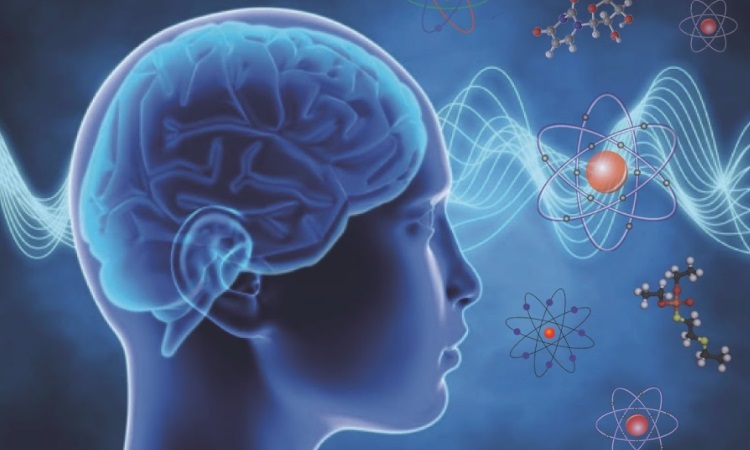 Does Our Awareness Come From ATOMS