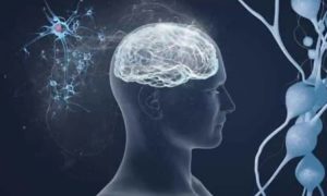 Image Of Scientists In Our Mind