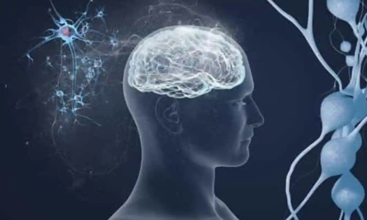 Image Of Scientists In Our Mind