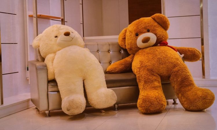 Impacts of Willow and Teddy Bears in the Society
