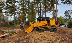 Professional Stump Busters Brisbane Clients Can Depend On - Don’t Put Yourself at Risk